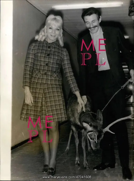 : 1960-1969 Actor - Actress : 1960-1969 Actor - Actress