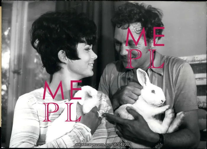 : 1960-1969 Actor - Actress : 1960-1969 Actor - Actress