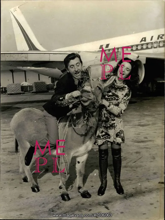 : 1960-1969 Actor - Actress : 1960-1969 Actor - Actress