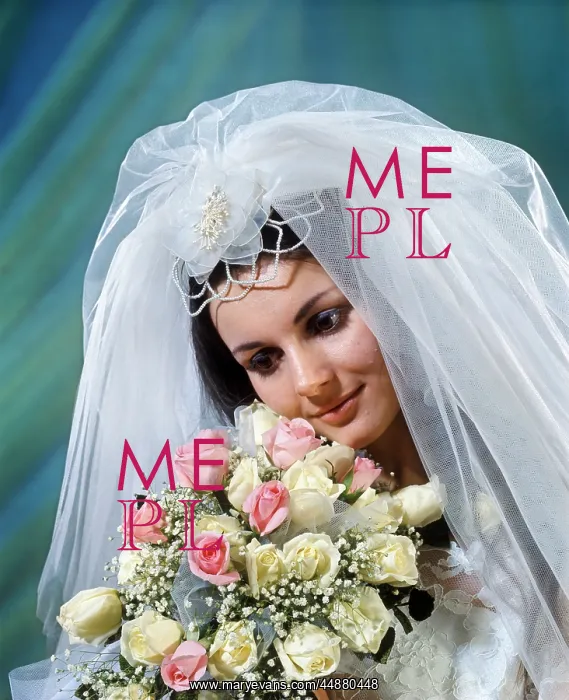  : 1960s 1970s Bride Wearing Veil