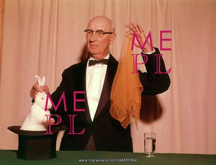 : 1960s 1970s MAGICIAN PULLING A WHITE RABBIT OUT : 1960s 1970s MAGICIAN PULLING A WHITE RABBIT OUT