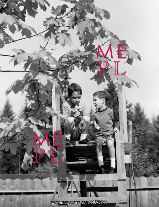  : 1960s 2 Boys In Tree House