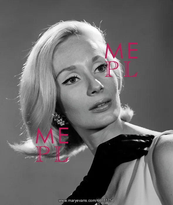 : 1960s Elegant Portrait Blonde : 1960s Elegant Portrait Blonde