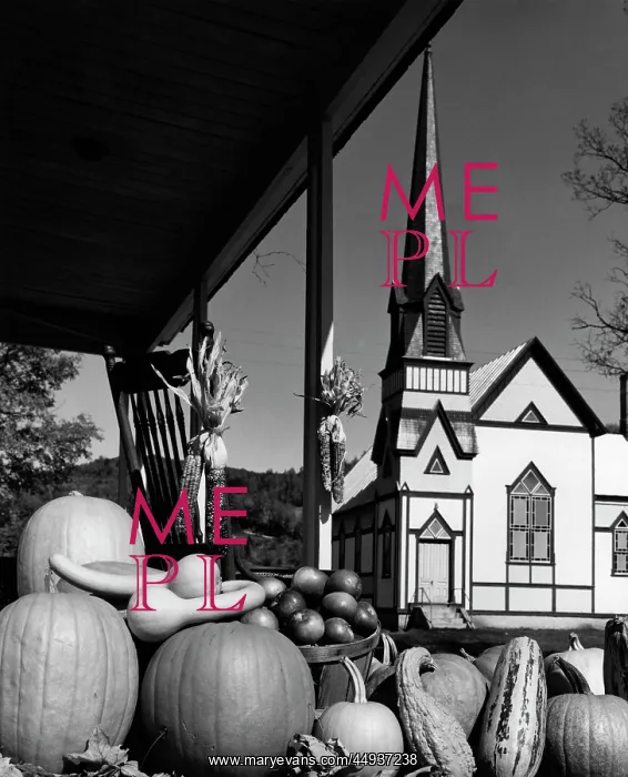 : 1960s Fall Harvest Fruits & Vegetables : 1960s Fall Harvest Fruits & Vegetables