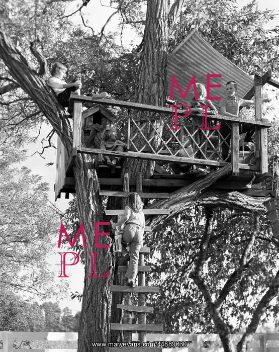  : 1960s KIDS PLAYING IN TREE HOUSE