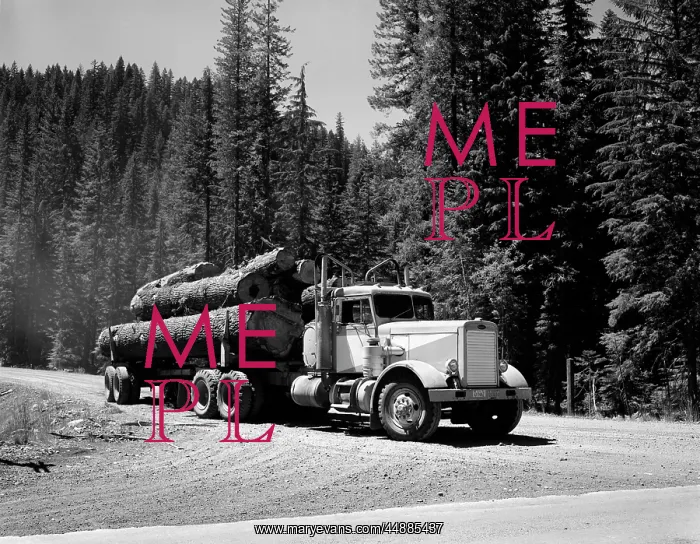  : 1960s Logging Truck Hauling Large