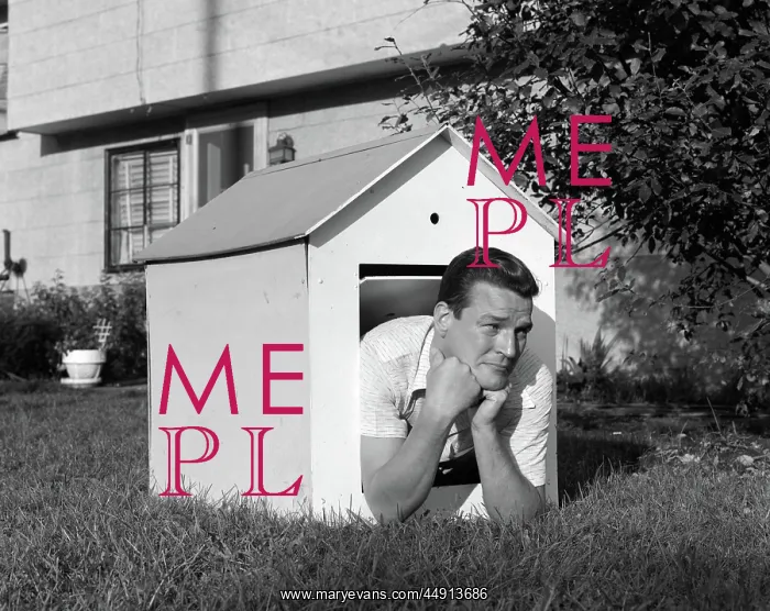  : 1960s MAN IN DOGHOUSE IN BACKYARD RESTING ON