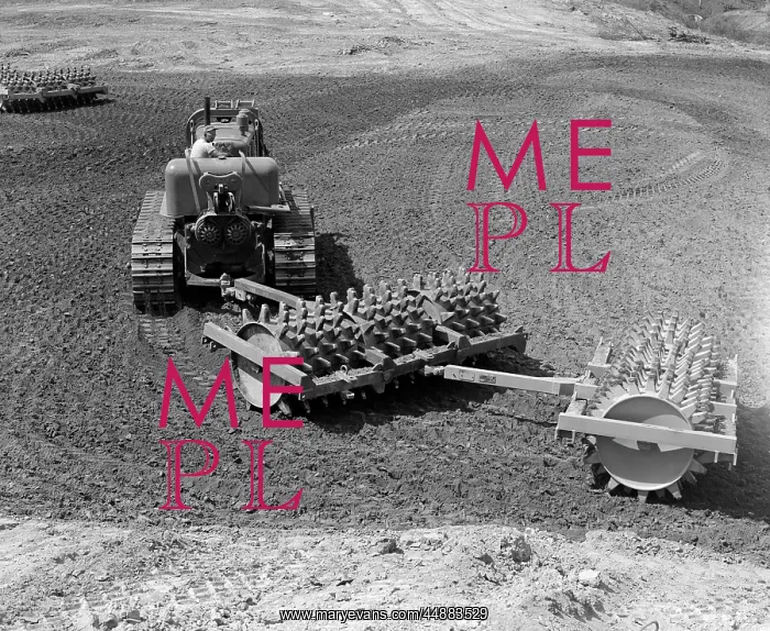 : 1960s Man Operating Grading Machine : 1960s Man Operating Grading Machine