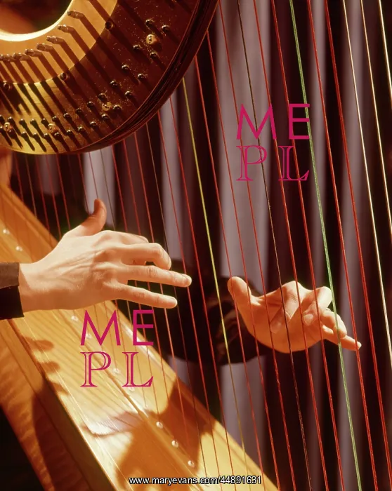  : 1960s MUSICAL INSTRUMENT DETAIL HANDS PLUCKING