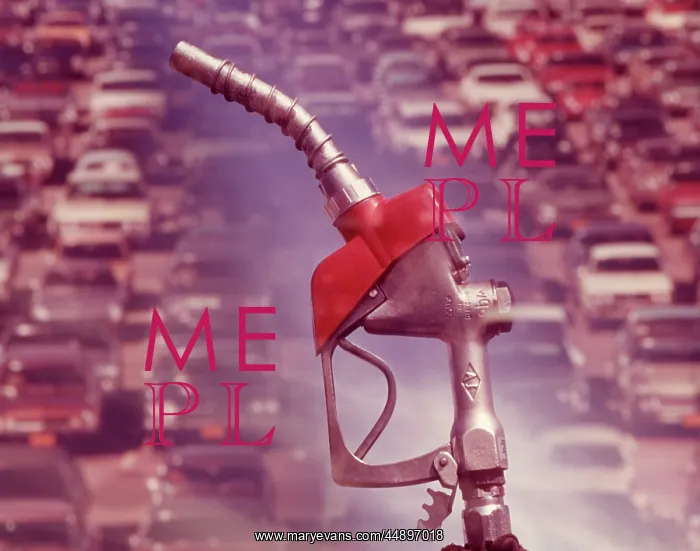  : 1960s Nozzle Of Gasoline Pump