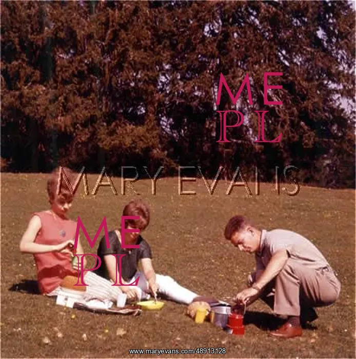  : 1960S PICNIC