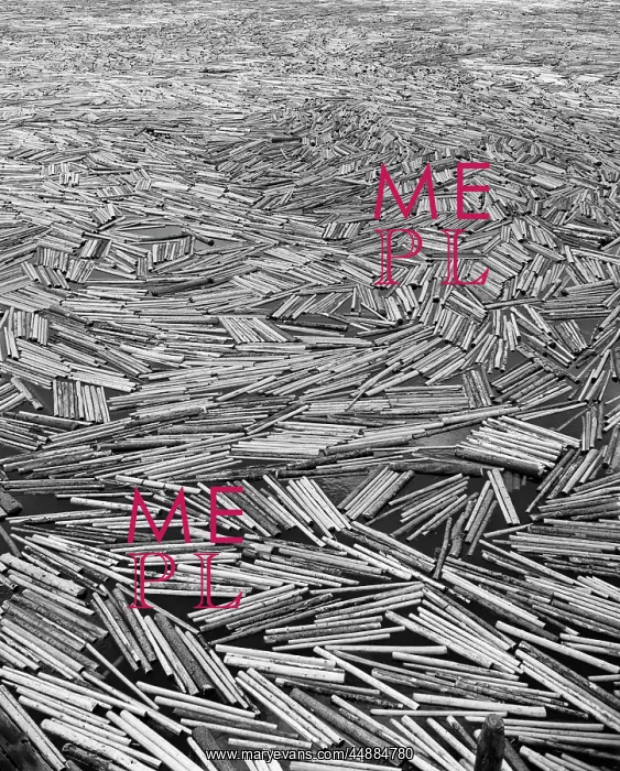 : 1960s Scene Of Pulp Wood Floating