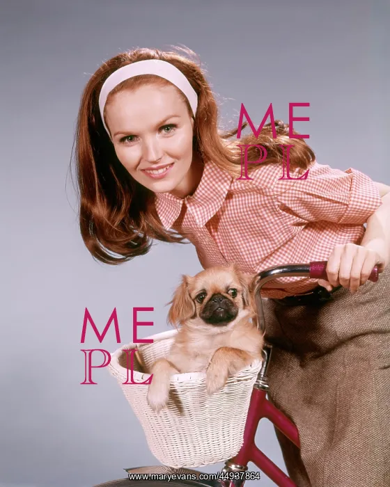 : 1960s Smiling Woman looking at Camera Leaning on Handleba : 1960s Smiling Woman looking at Camera Leaning on Handleba