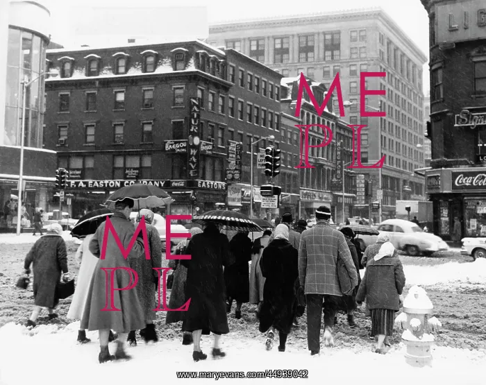 : 1960s Back View Of Small Crowd : 1960s Back View Of Small Crowd
