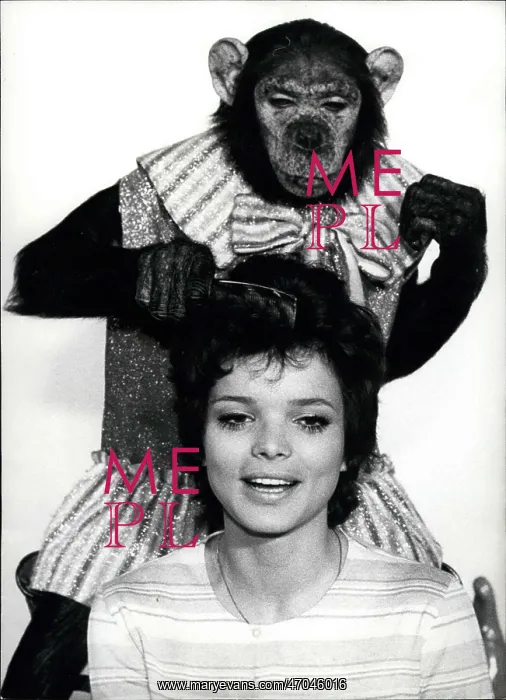 : 1970-1979 Actor - Actress : 1970-1979 Actor - Actress