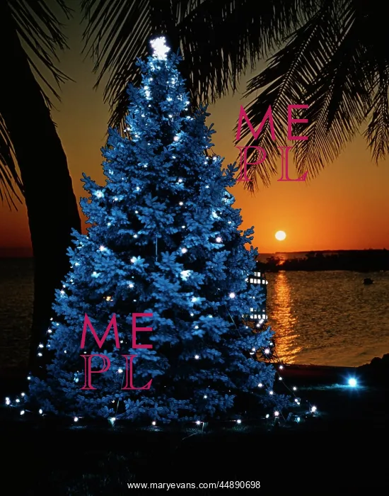  : 1970s Blue Christmas Tree With