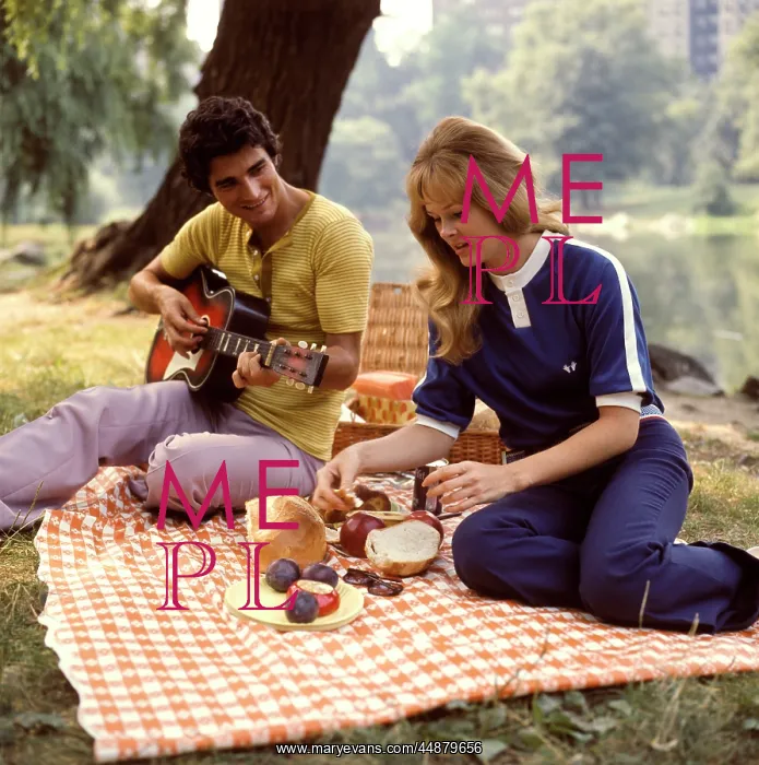 : 1970s Two Couples Backyard Picnic : 1970s Two Couples Backyard Picnic