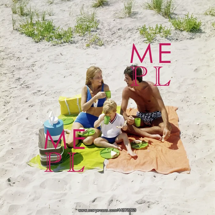  : 1970s Family Having Picnic On