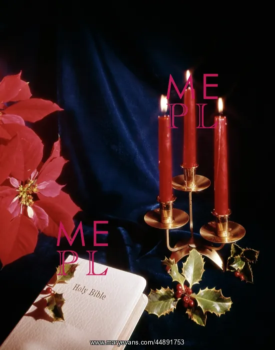  : 1970s Retro Bible Candles Holly