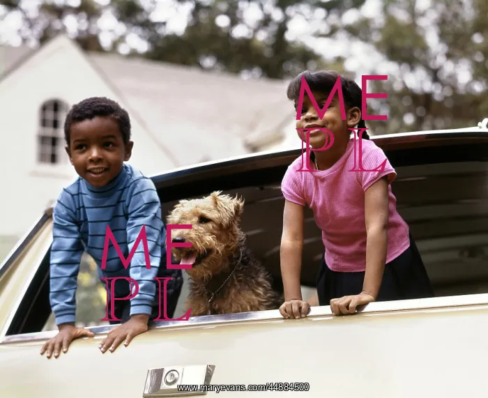 : 1970s Smiling African-American : 1970s Smiling African-American