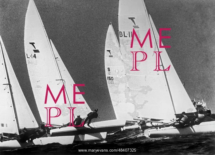 : 1980 Summer Olympics : 1980 Summer Olympics