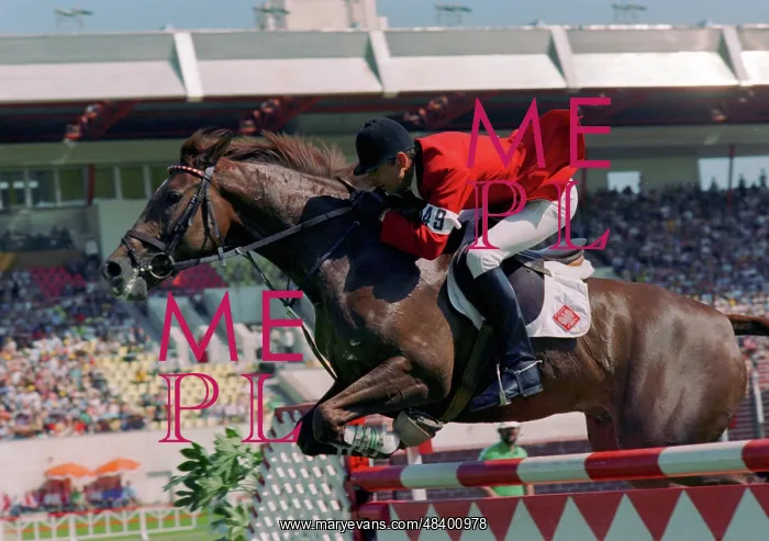 : 1980 Summer Olympics in Moscow : 1980 Summer Olympics in Moscow