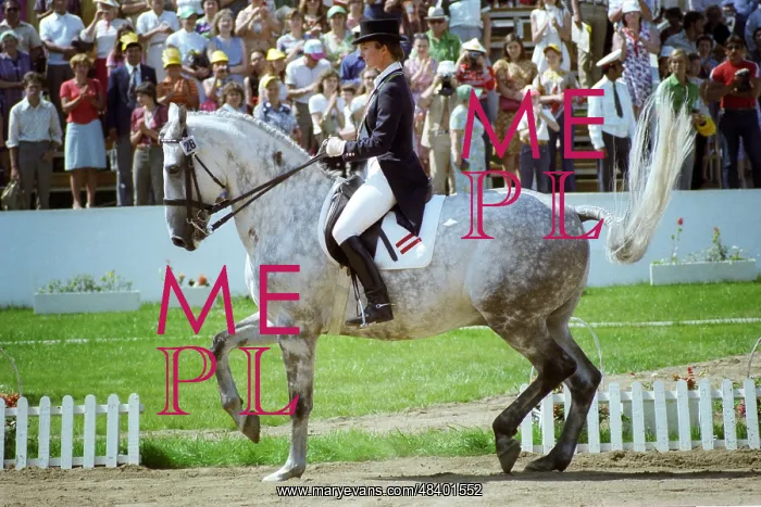 : 1980 Summer Olympics in Moscow : 1980 Summer Olympics in Moscow
