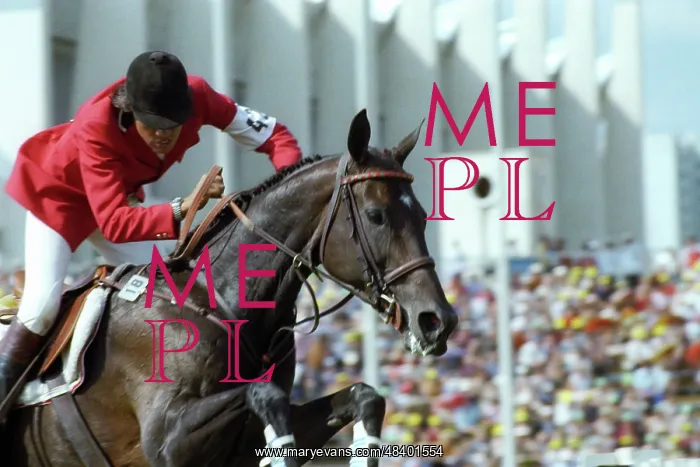: 1980 Summer Olympics in Moscow : 1980 Summer Olympics in Moscow