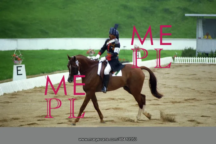 : 1980 Summer Olympics in Moscow : 1980 Summer Olympics in Moscow