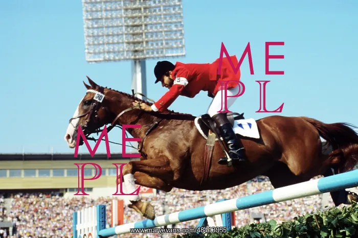 : 1980 Summer Olympics in Moscow : 1980 Summer Olympics in Moscow
