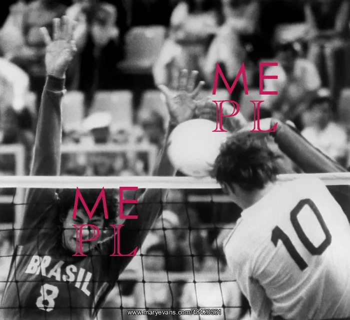: 1980 Summer Olympics in Moscow : 1980 Summer Olympics in Moscow