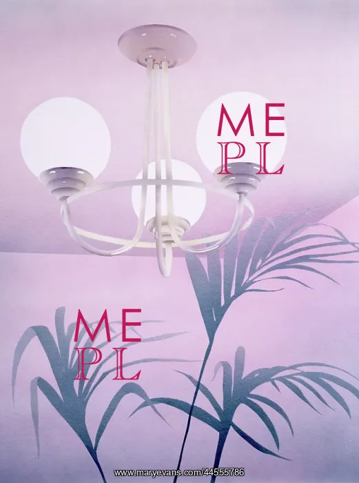 : 1980s Interior with ceiling light and fern : 1980s Interior with ceiling light and fern