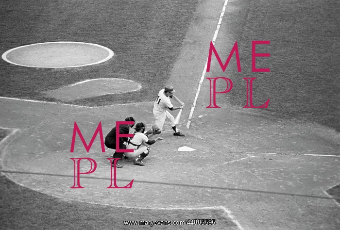 : 1980s Professional Baseball Game : 1980s Professional Baseball Game