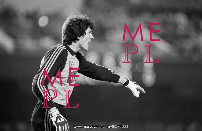: 1982 FIFA World Cup : 1982 FIFA World Cup