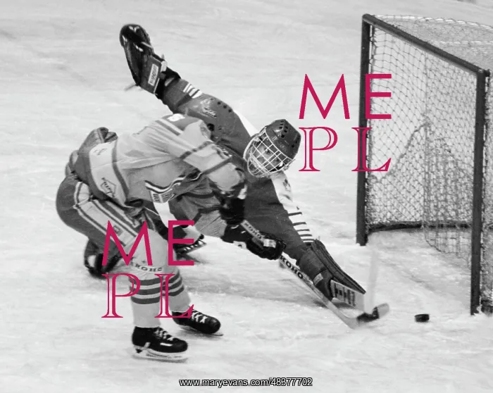 : 1983 Izvestia Trophy : 1983 Izvestia Trophy