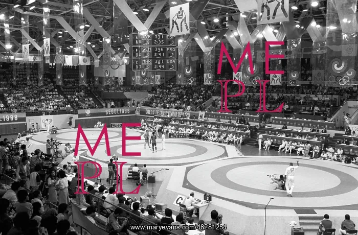 : 1988 Summer Olympics in Seoul : 1988 Summer Olympics in Seoul