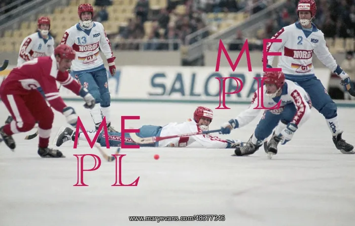 : 1989 Bandy World Championship : 1989 Bandy World Championship