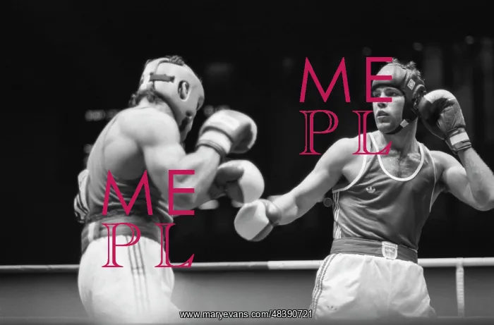 : 1989 World Boxing Championship : 1989 World Boxing Championship