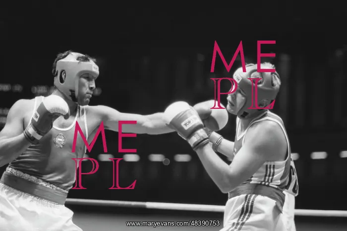 : 1989 World Boxing Championship : 1989 World Boxing Championship
