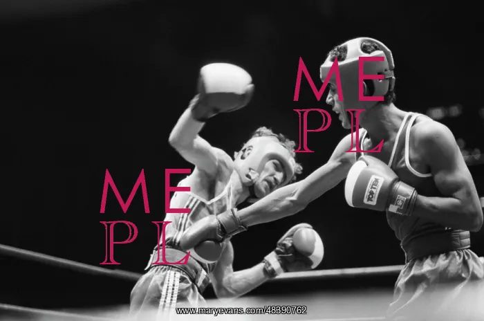 : 1989 World Boxing Championship : 1989 World Boxing Championship