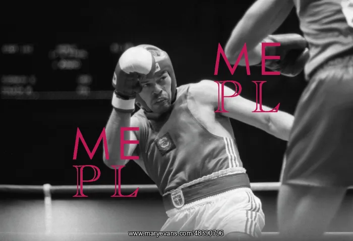 : 1989 World Boxing Championship : 1989 World Boxing Championship