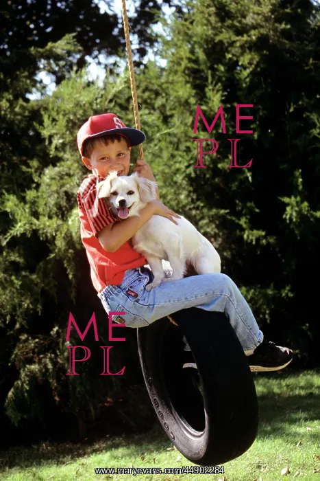  : 1990s BOY AND DOG RIDING ON TIRE SWING