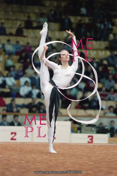  : 1993 Rhythmic Gymnastics Competitions
