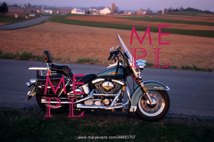  : 1994 Harley Davidson Motorcycle