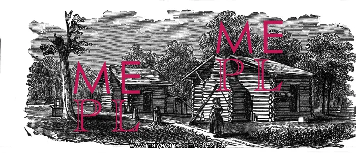  : 19th century American log cabin
