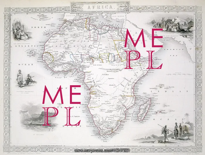  : 19th century Map of Africa