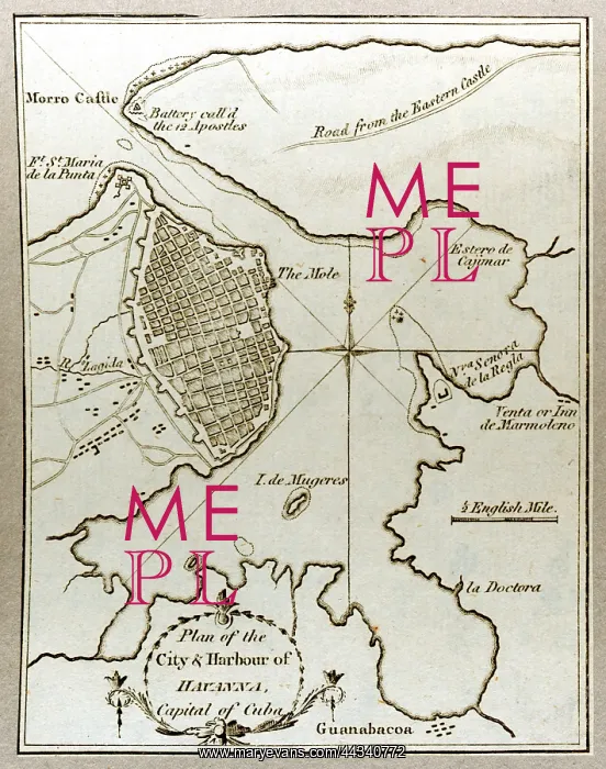  : 19th century Map of the Harbour of Havana, Cuba