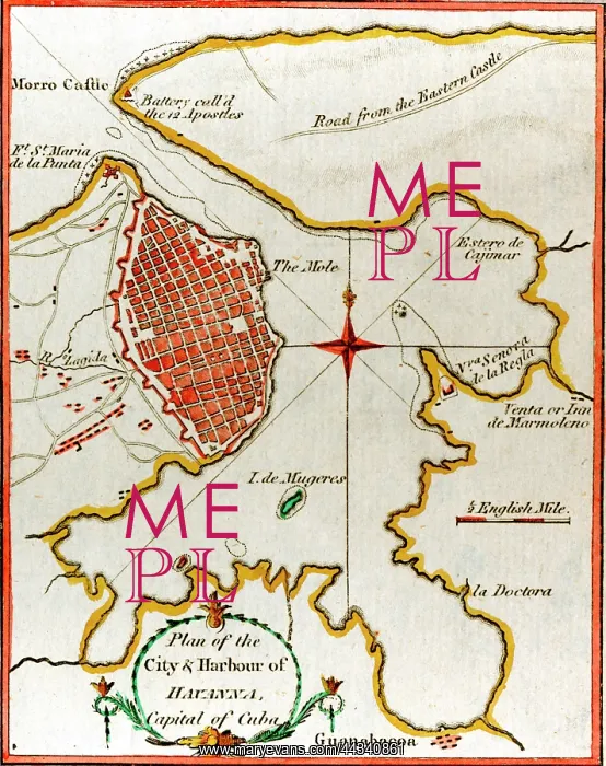  : 19th century Map of the Harbour of Havana, Cuba