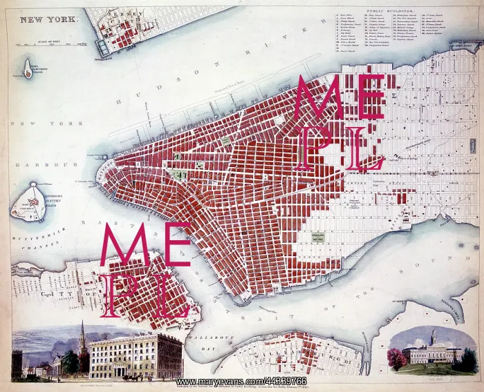  : 19th century Map of New York, America