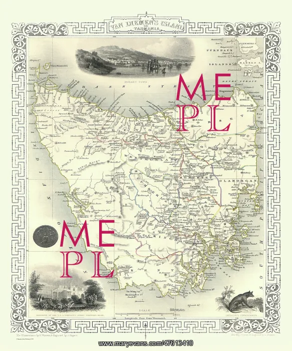 : 19th Century map of tasmania : 19th Century map of tasmania